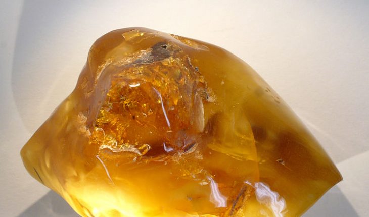 What is the origin of amber - Originopedia